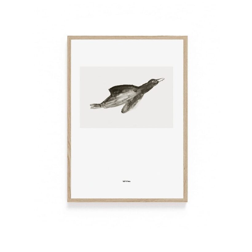 900 Bird2.jpg