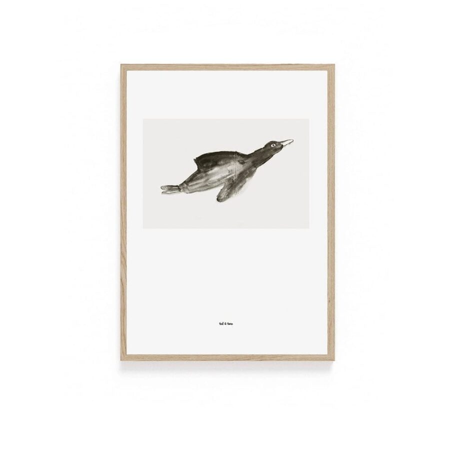 900 Bird2.jpg