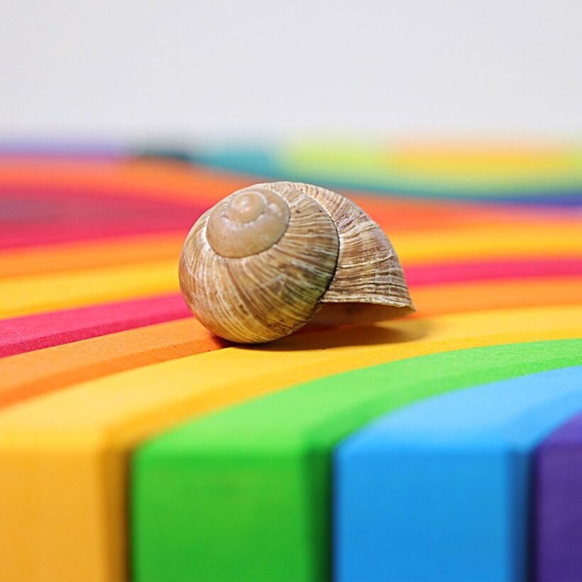 Four Elements Building Set 2.jpg