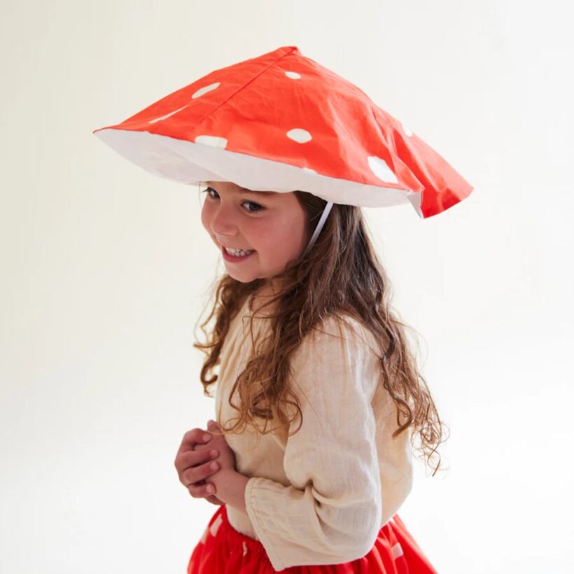 Mushroomflatlays44 900x.jpg