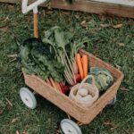 Olli Ella Lifestyle Wonder Wagon Natural 15.jpg