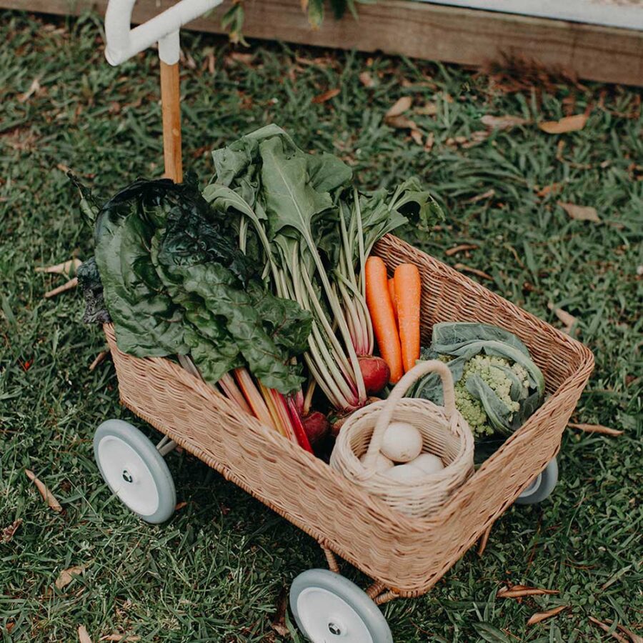Olli Ella Lifestyle Wonder Wagon Natural 15.jpg