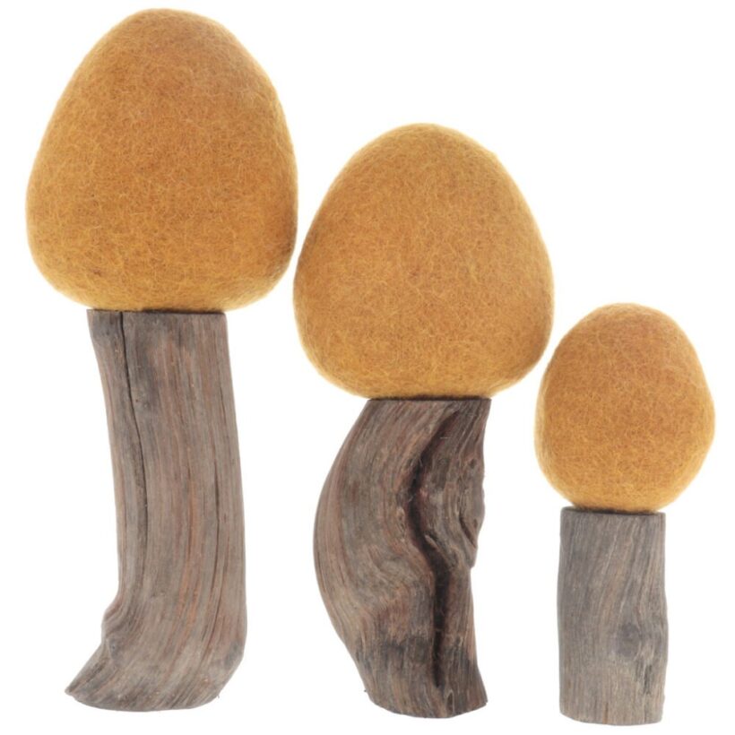 Papoose Earth Trees Spring1 Web Mz 66602 E1718707983529.jpg