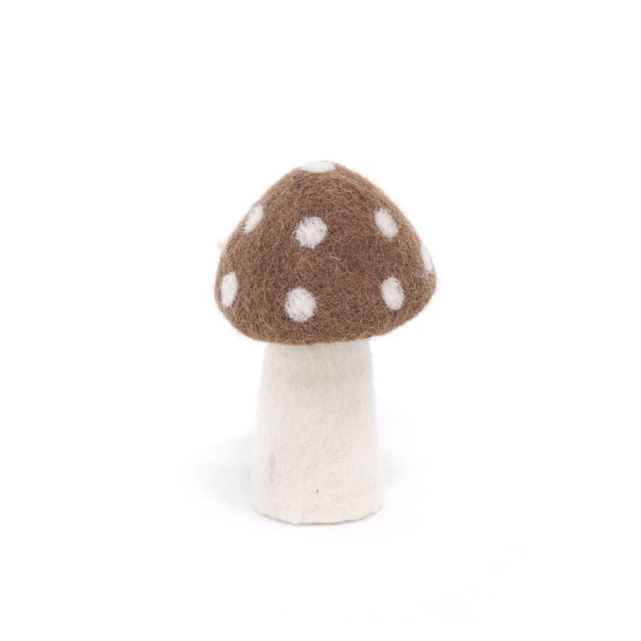 Dotty Brown Large.jpg