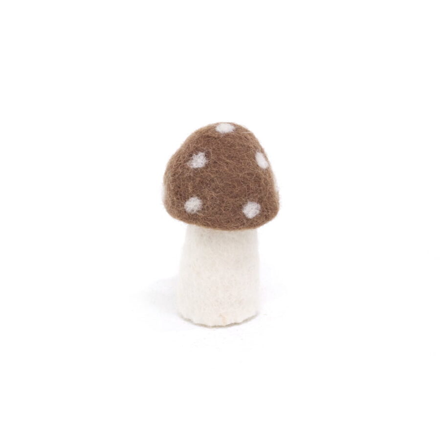Dotty Brown Small.jpg