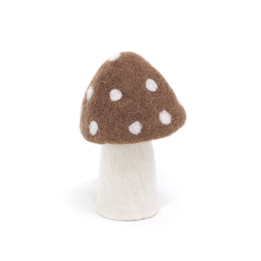 Dotty Brown Xl.jpg