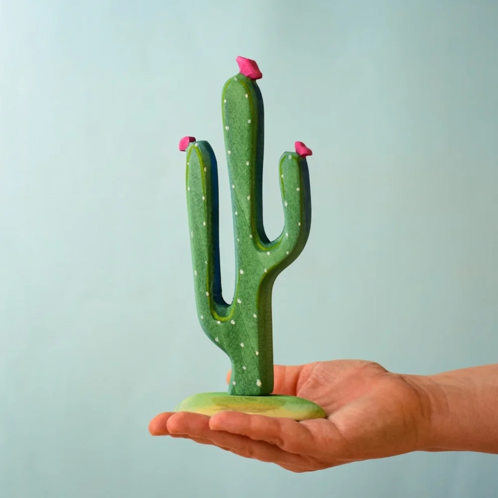 Mexican Cactus7013 E1721822051952.webp