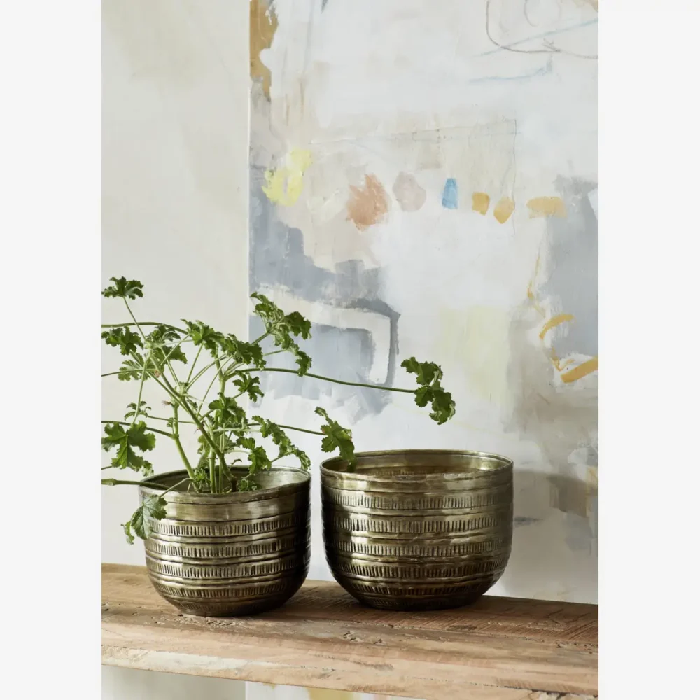 Ms Ss24 9199 E1723401289345.webp