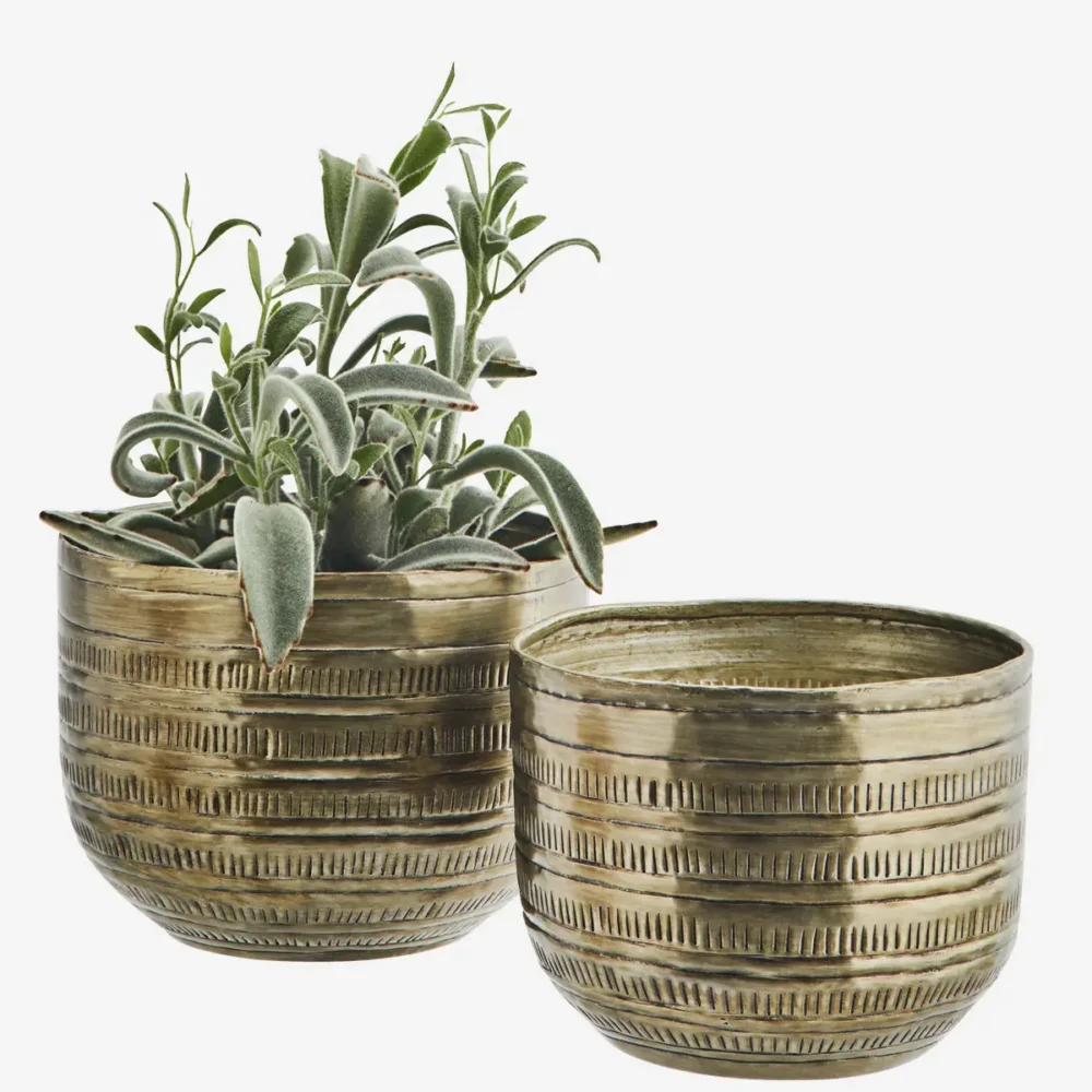 P174 Abl 1 E1723401411821.webp