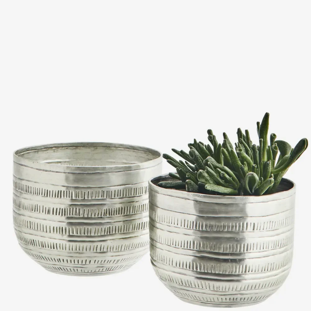 P174 Sil 1 E1723402057151.webp