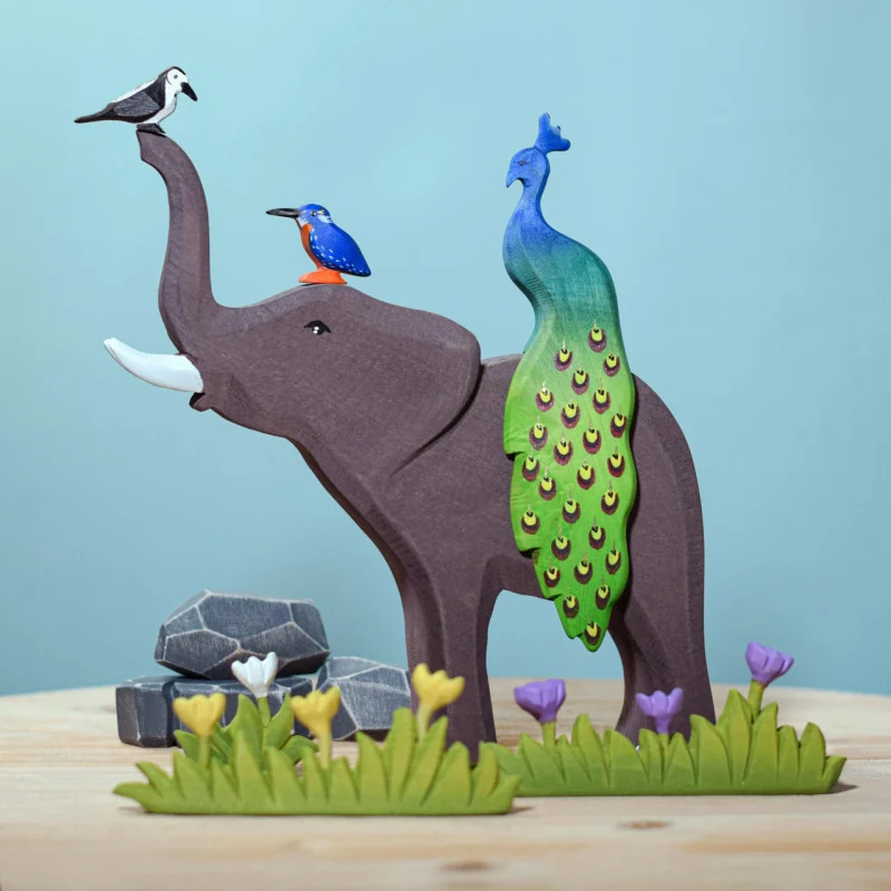 Peacock4558.webp