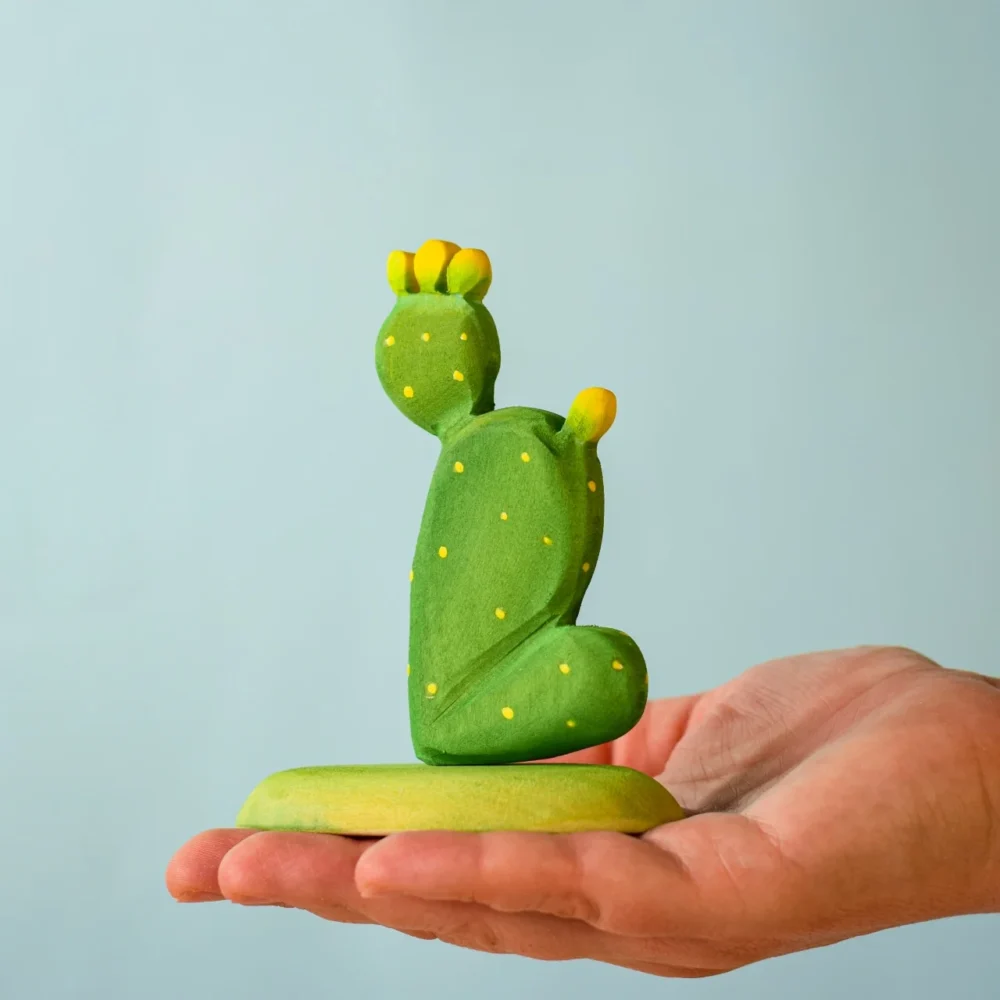 Prickly Pear Cactus7009 E1721822320428.webp