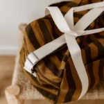Sac A Langer Raphael Rayures Cumin Ee047fcb Cc6f 48da 831e 62547a271411.webp