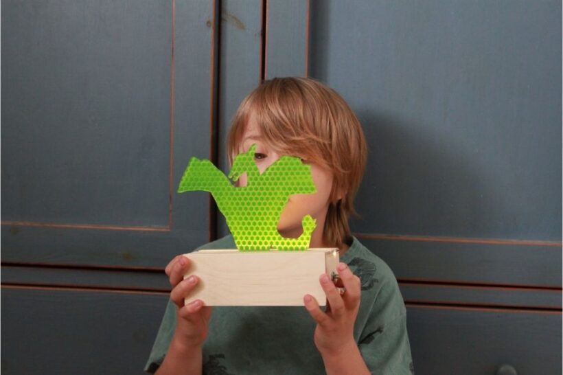 דינוזאור מעופף 1.jpg