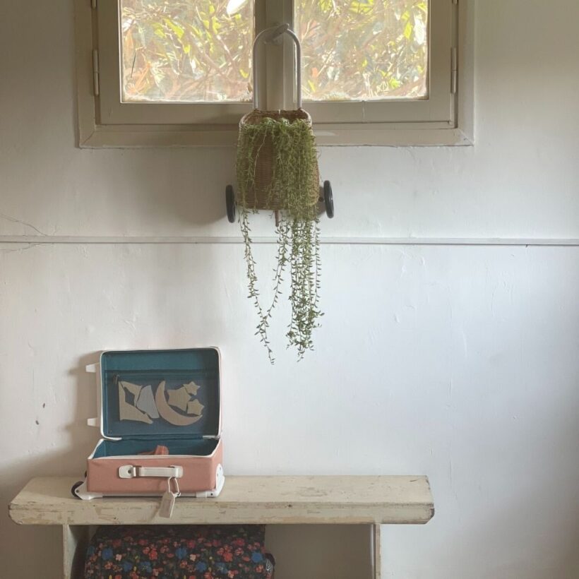 צבעוני גדול 1.jpg